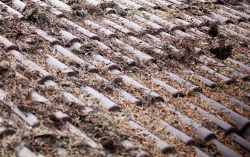 Westfield roof cleaning companies