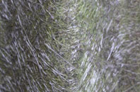 Westfield fibreglass roof work